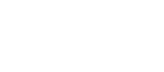 Brand Magic Logo reversed